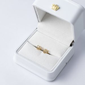 Topos Gato Circón Cristal 0.78grs / Oro Amarillo 18K